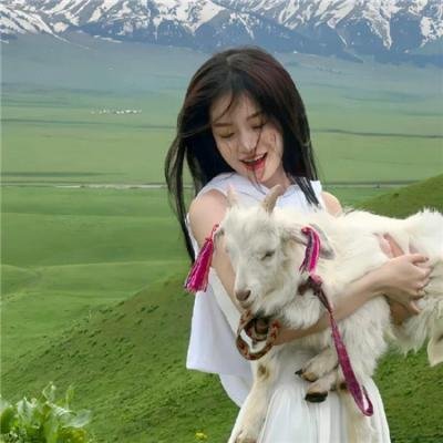 凝视猎物